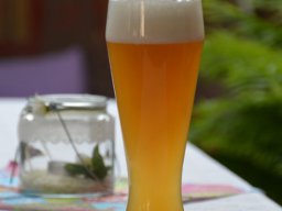 sommerfest 2015 - 11